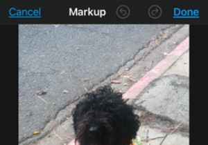 วิธีใช้คำอธิบายภาพ VoiceOver กับรูปภาพ iPhone ของคุณ 