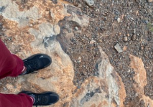 วิธีปรับวันที่ เวลา และตำแหน่งของรูปภาพใน iOS 15 