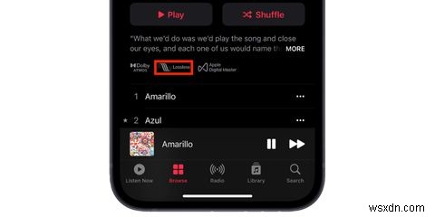 วิธีฟังเสียง Lossless บน Apple Music 