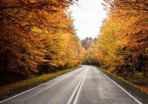 อธิบาย OpenCV Laplacian Transformation โดยใช้ java Example 