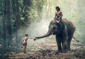 วิธีดำเนินการ Bitwise Not บนรูปภาพโดยใช้ Java OpenCV 