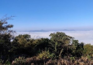 จะเปลี่ยนความคมชัดของภาพโดยใช้ไลบรารี Java OpenCV ได้อย่างไร? 