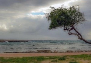 จะสร้างภาพมิเรอร์โดยใช้ไลบรารี Java OpenCV ได้อย่างไร 