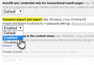 วิธีนำเข้าและส่งออกรหัสผ่านของคุณใน Chrome 