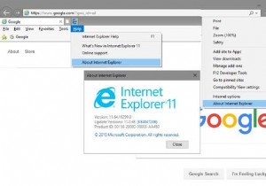 คำถามที่พบบ่อยของ Internet Explorer สำหรับ Die Hards 