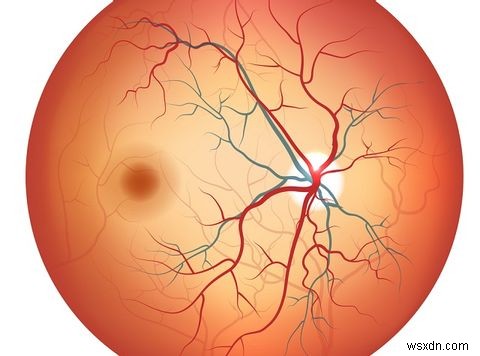 เครื่องสแกน Retina / Iris เป็นระดับถัดไปของการรักษาความปลอดภัยมือถือหรือไม่? 