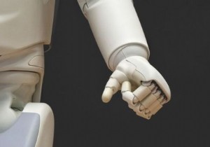 การโจมตี Bad Bot คืออะไร? 