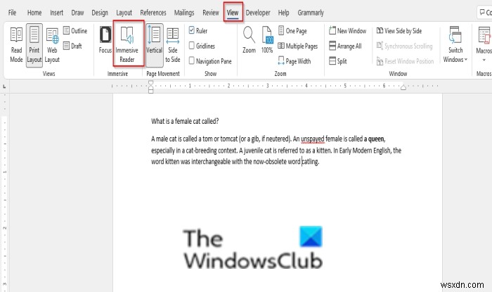 วิธีใช้โปรแกรมช่วยอ่านใน Word และ Edge 