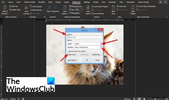 วิธีแทรกคำบรรยายใน Microsoft Word 