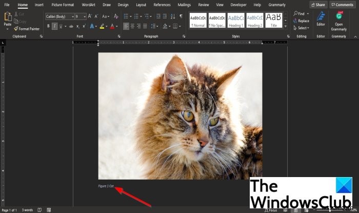 วิธีแทรกคำบรรยายใน Microsoft Word 