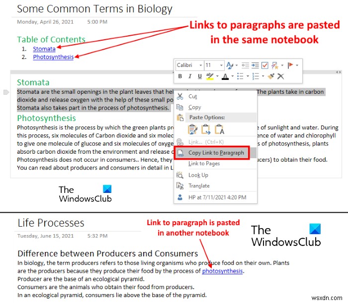 วิธีสร้างลิงก์ใน OneNote 