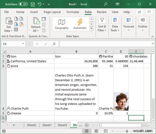 วิธีใช้คุณสมบัติประเภทข้อมูลอัตโนมัติใน Microsoft Excel 