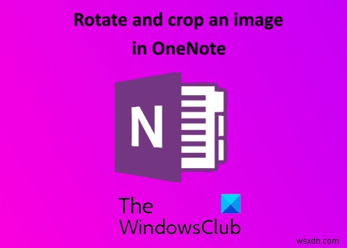 วิธีหมุนและครอบตัดรูปภาพใน Microsoft OneNote 