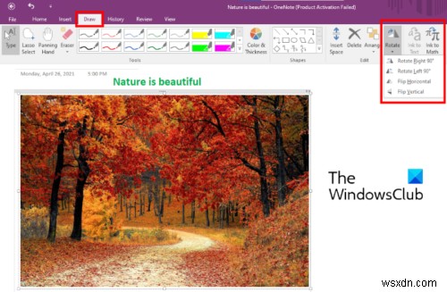 วิธีหมุนและครอบตัดรูปภาพใน Microsoft OneNote 