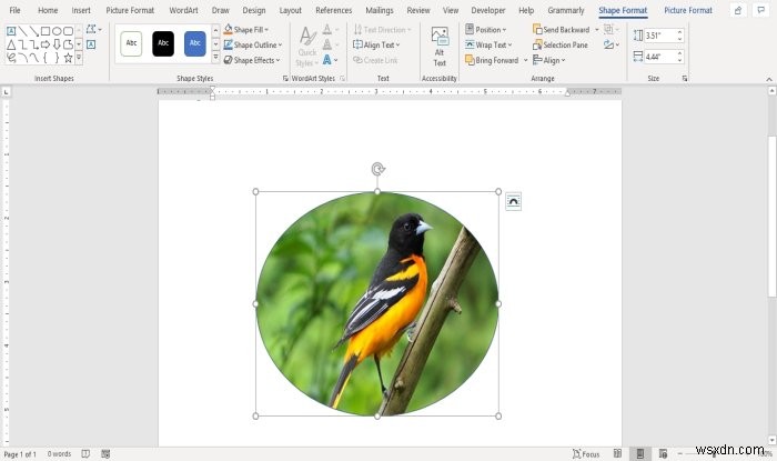 วิธีแทรกรูปภาพลงในรูปร่างใน Microsoft Word 