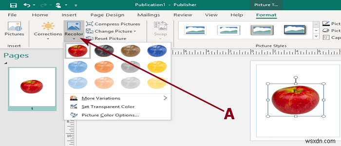 เพิ่ม ย้าย และแก้ไขรูปภาพหรือรูปภาพใน Microsoft Publisher 