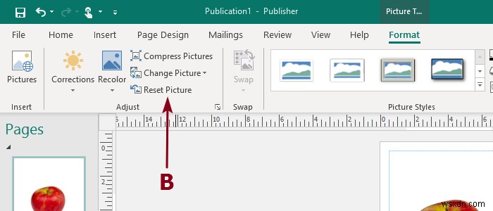 เพิ่ม ย้าย และแก้ไขรูปภาพหรือรูปภาพใน Microsoft Publisher 