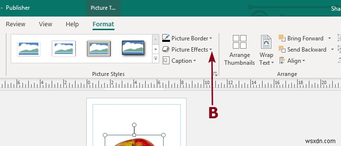 เพิ่ม ย้าย และแก้ไขรูปภาพหรือรูปภาพใน Microsoft Publisher 