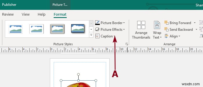 เพิ่ม ย้าย และแก้ไขรูปภาพหรือรูปภาพใน Microsoft Publisher 