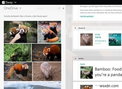 Microsoft Office Sway ประสบการณ์ใหม่สำหรับการแชร์เนื้อหา 