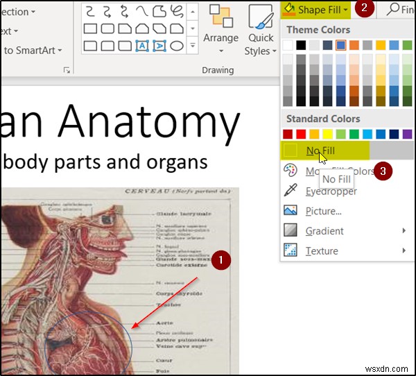 วิธีสร้างเอฟเฟกต์การซูมแอนิเมชั่นในสไลด์ PowerPoint 