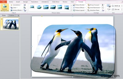 วิธีลบพื้นหลังของรูปภาพโดยใช้ Microsoft PowerPoint 