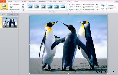 วิธีลบพื้นหลังของรูปภาพโดยใช้ Microsoft PowerPoint 