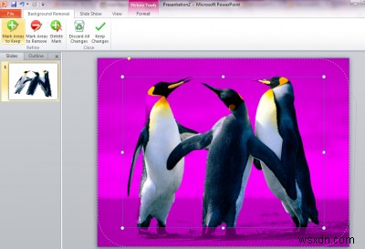 วิธีลบพื้นหลังของรูปภาพโดยใช้ Microsoft PowerPoint 