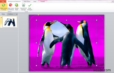 วิธีลบพื้นหลังของรูปภาพโดยใช้ Microsoft PowerPoint 