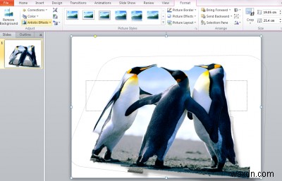 วิธีลบพื้นหลังของรูปภาพโดยใช้ Microsoft PowerPoint 