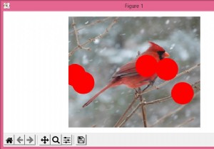 วาดวงกลมบนรูปภาพด้วย Matplotlib และ NumPy 