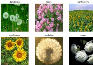 Tensorflow สามารถใช้เพื่อแสดงภาพข้อมูลโดยใช้ Python ได้อย่างไร 