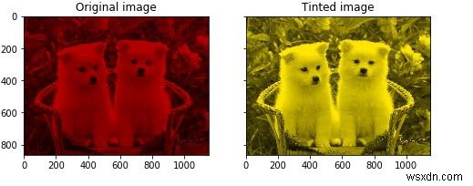 จะเพิ่มสีอ่อนเฉพาะให้กับรูปภาพระดับสีเทาใน scikit-learn ใน Python ได้อย่างไร 