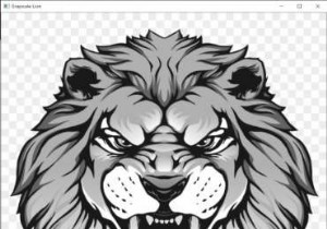 Python การปรับสีเทาของรูปภาพโดยใช้ OpenCV 