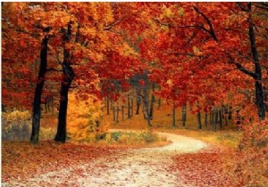 การดำเนินการเลขคณิตกับรูปภาพโดยใช้ OpenCV ใน Python 