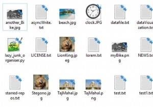 ตัวจัดระเบียบไฟล์ขยะใน Python? 