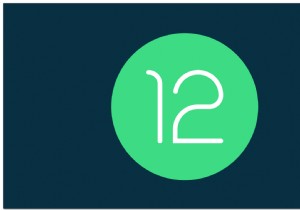 วิธีการดาวน์เกรดจาก Android 12 รุ่นเบต้าสาธารณะเป็น Android 11