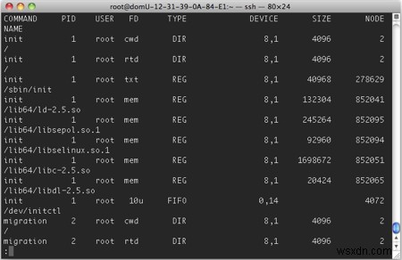 วิธีรับรายการไฟล์ที่เปิดอยู่ ซ็อกเก็ต และไพพ์ใน Linux 