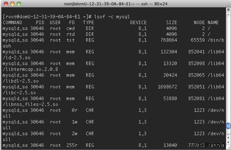 วิธีรับรายการไฟล์ที่เปิดอยู่ ซ็อกเก็ต และไพพ์ใน Linux 