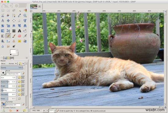 วิธีการปรับขนาดรูปภาพโดยใช้ Gimp