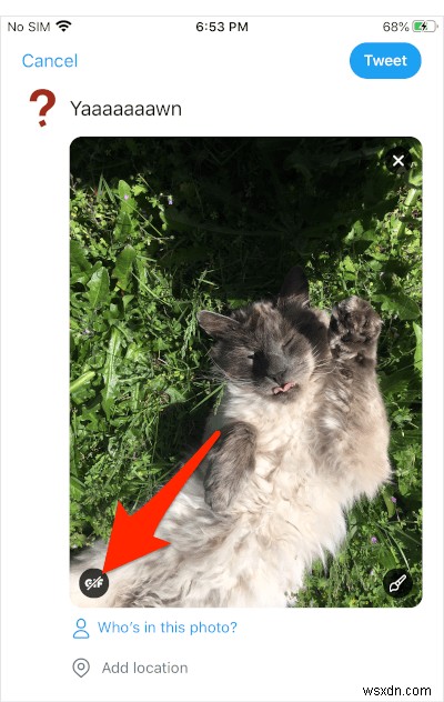 วิธีทวีต iOS Live Photo เป็น GIF แบบเคลื่อนไหวบน Twitter 