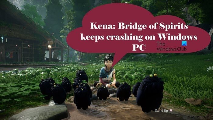 Kena Bridge of Spirits หยุดทำงานบน Windows PC 