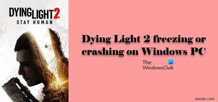 Dying Light 2 หยุดค้างหรือหยุดทำงานบน Windows PC 