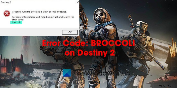 แก้ไขรหัสข้อผิดพลาด Destiny 2 BROCCOLI บน Windows PC 
