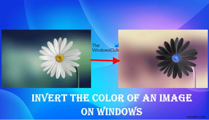 วิธีกลับสีของรูปภาพบน Windows PC 