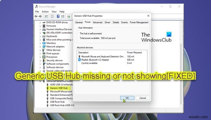 แก้ไข Generic USB Hub หายไปหรือไม่แสดงใน Windows 11/10 