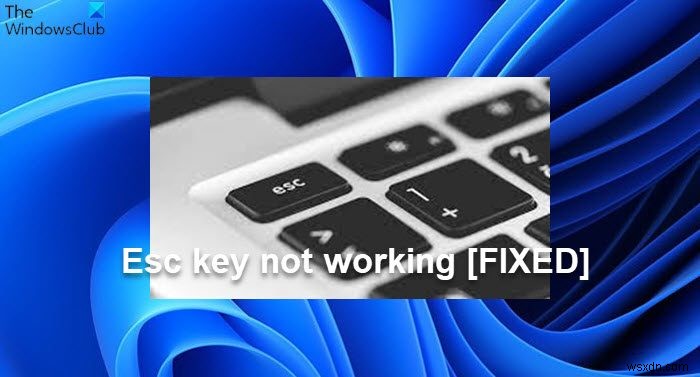 ปุ่ม Esc ไม่ทำงานใน Windows 11/10 
