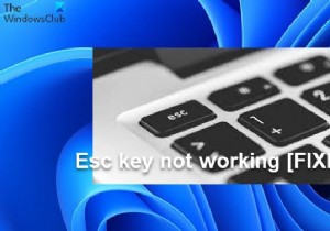 ปุ่ม Esc ไม่ทำงานใน Windows 11/10 