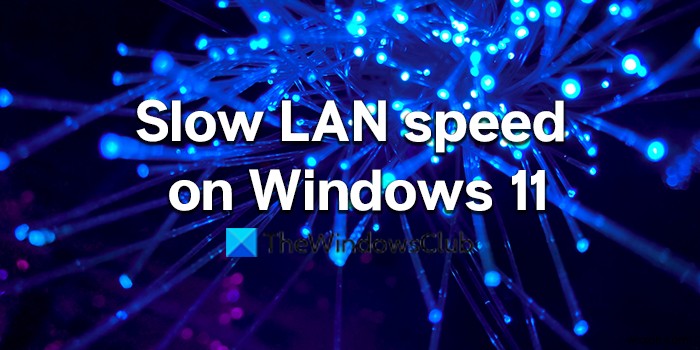 แก้ไขความเร็ว LAN ช้าในคอมพิวเตอร์ Windows 11/10 