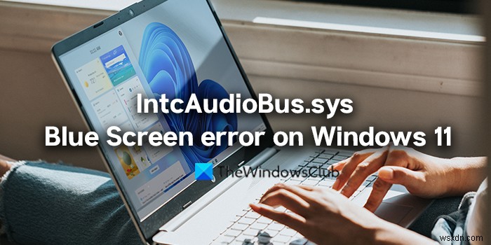 แก้ไขข้อผิดพลาด IntcAudioBus.sys Blue Screen ใน Windows 11 